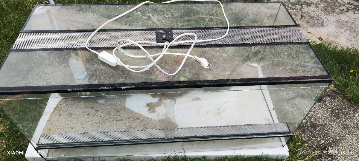 terarium