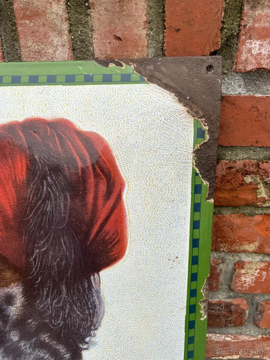 Smaltovaná ceduľa s chlorodontovou ženou, originál okolo rok