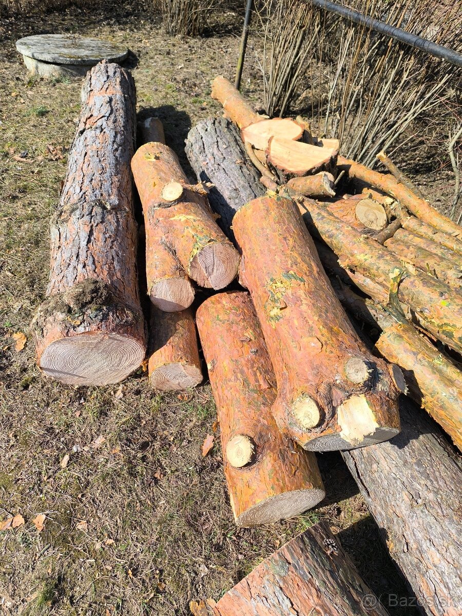 Drevo borovica na palenie, sušenie, výrobu