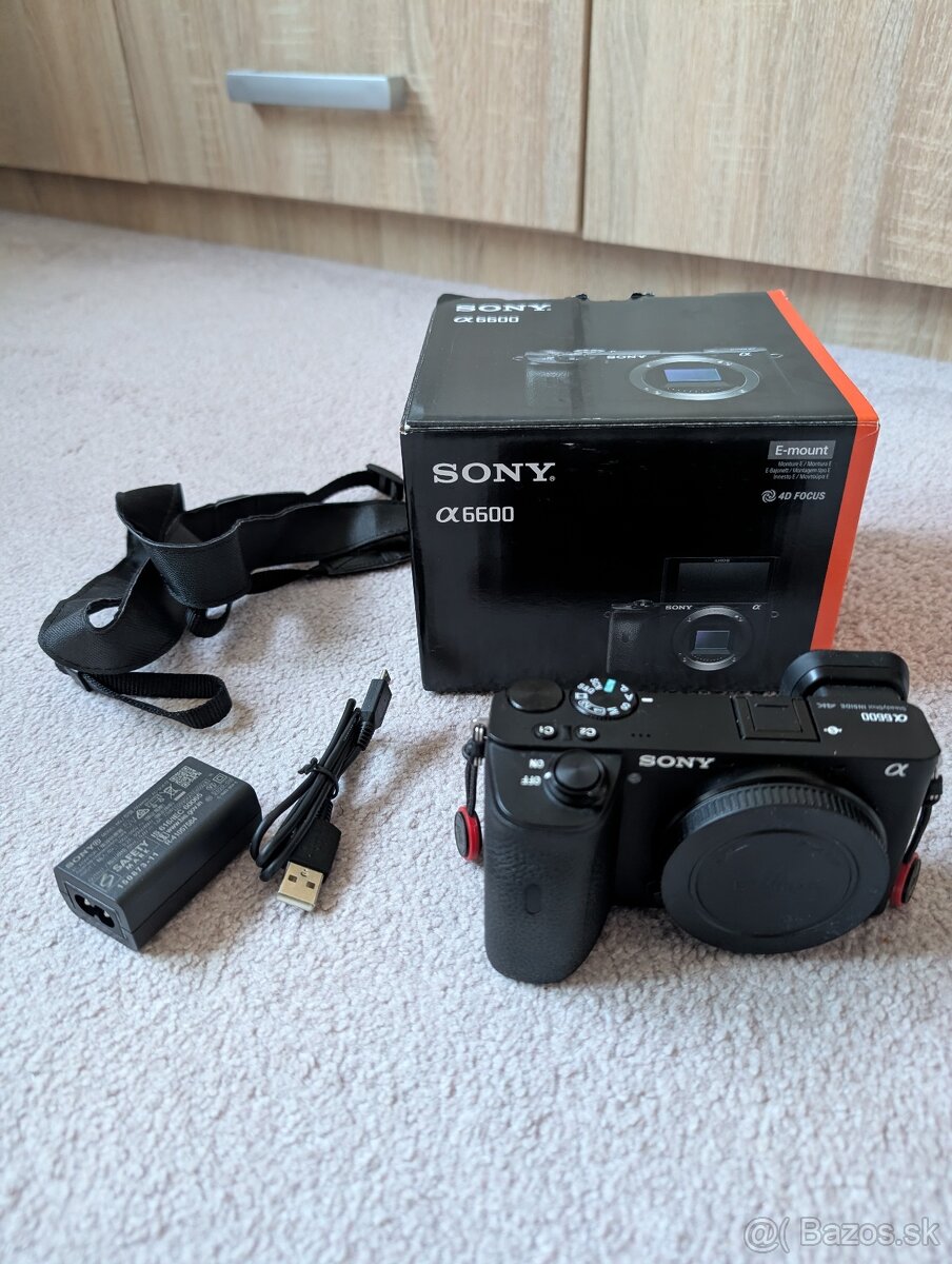 Sony A6600