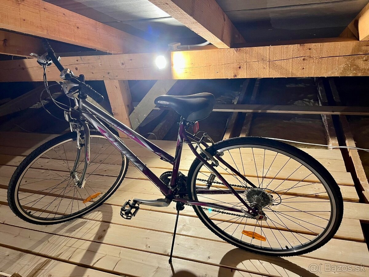Bicykel ormea dema