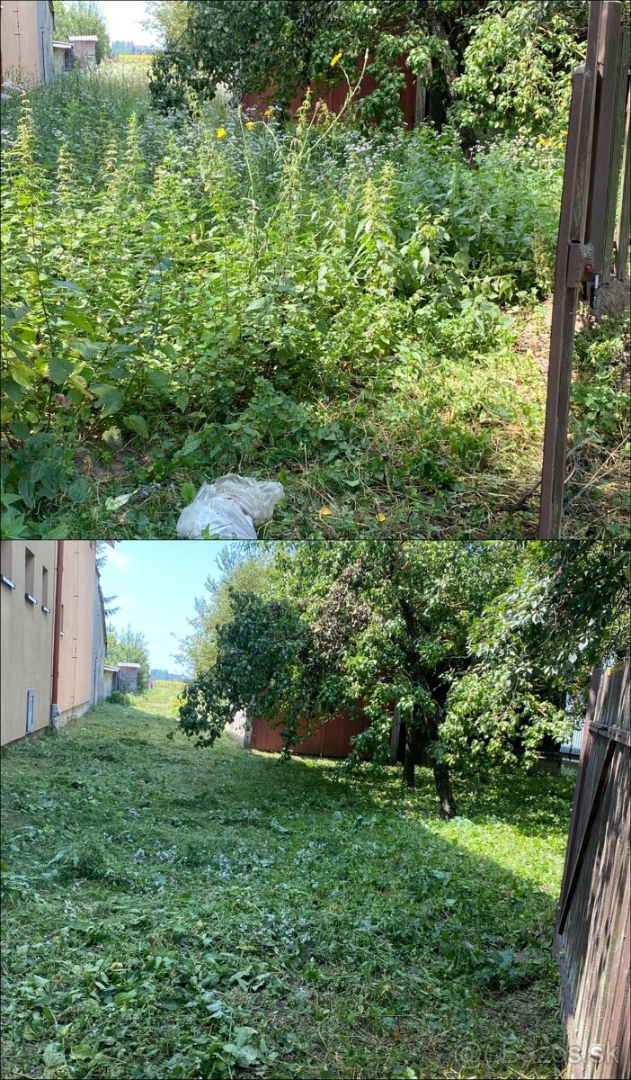 Kosenie, pílenie, odvoz