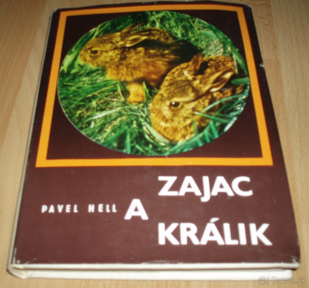 Zajac a králik