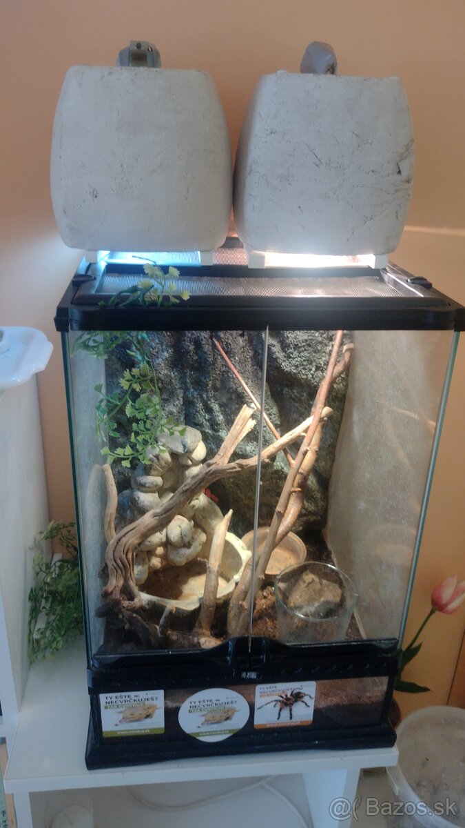 Predám terarium pre chameleóna