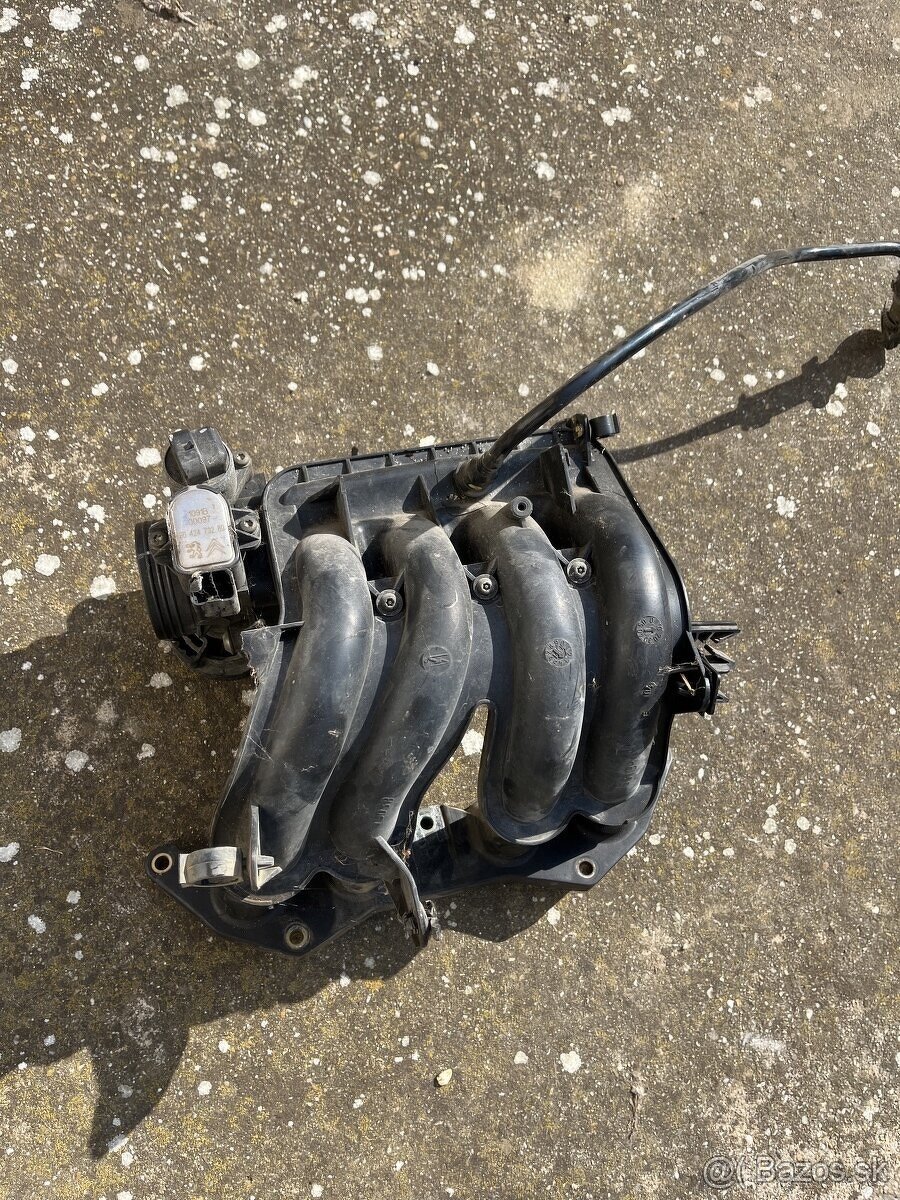sacie potrubie - sanie na Peugeot 206
