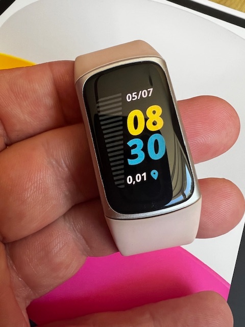 Fitbit Charge 5 Graphite Stainless Steel