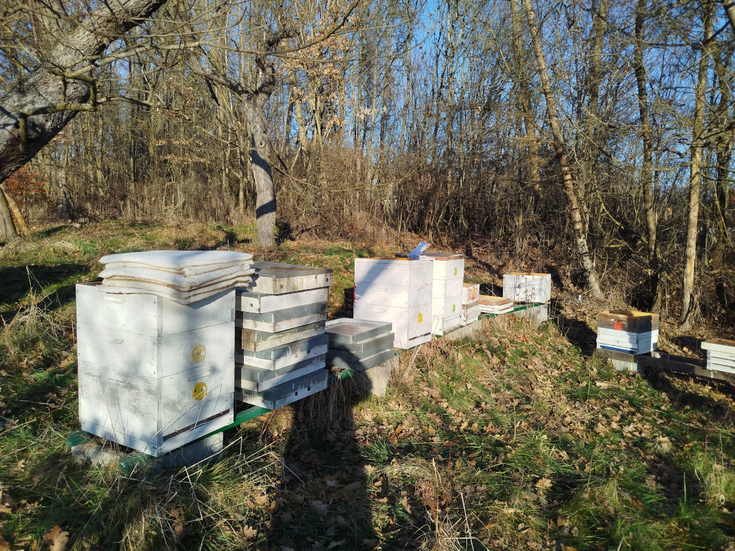 Langstroth 2/3 - používané úle