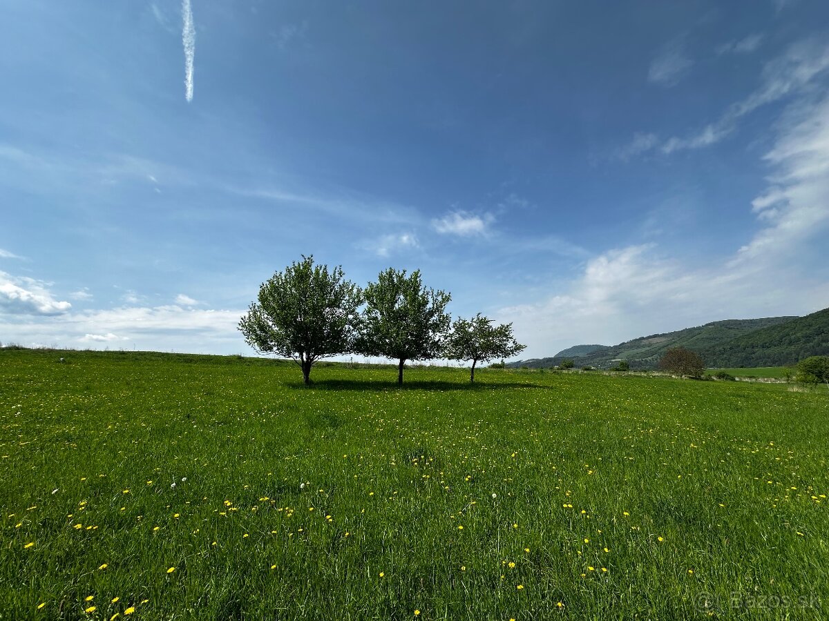 Predám investičný pozemok v obci Dolná Tižina 840m2