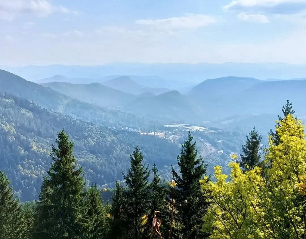 Snina - 1.253 m2 ORNÁ PÔDA a LESY – PREDAJ