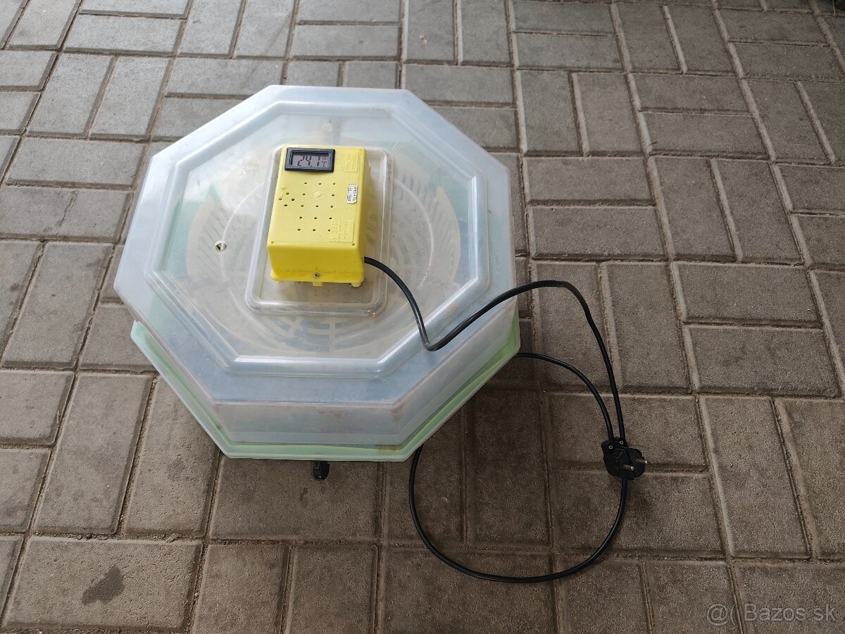 Predám liaheň Cleo5