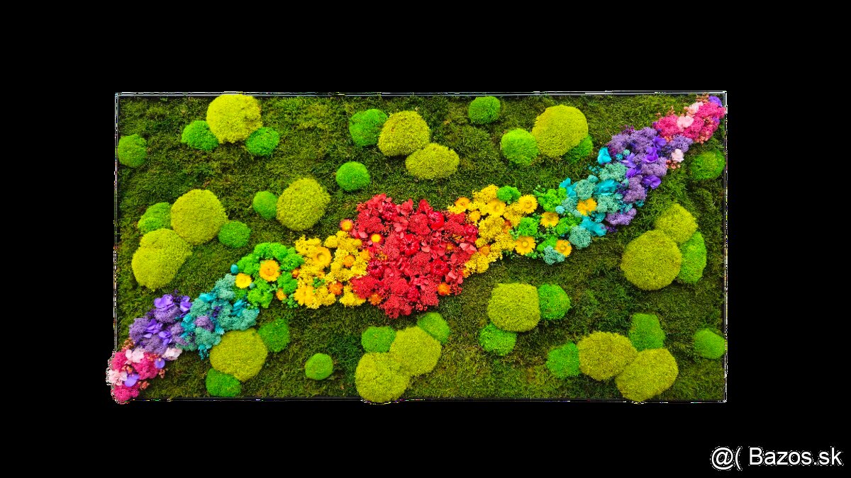 Machový obraz dúha