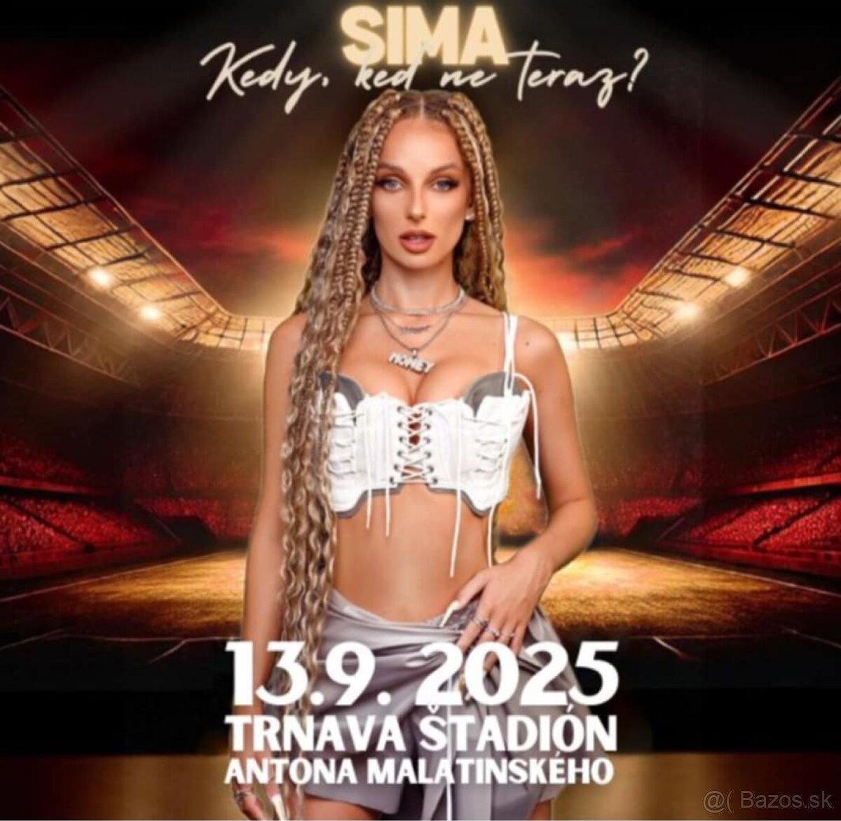 Sima koncert vstupenky 2ks
