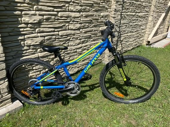 Galaxy Pavo 24" - model 2020 modrá
