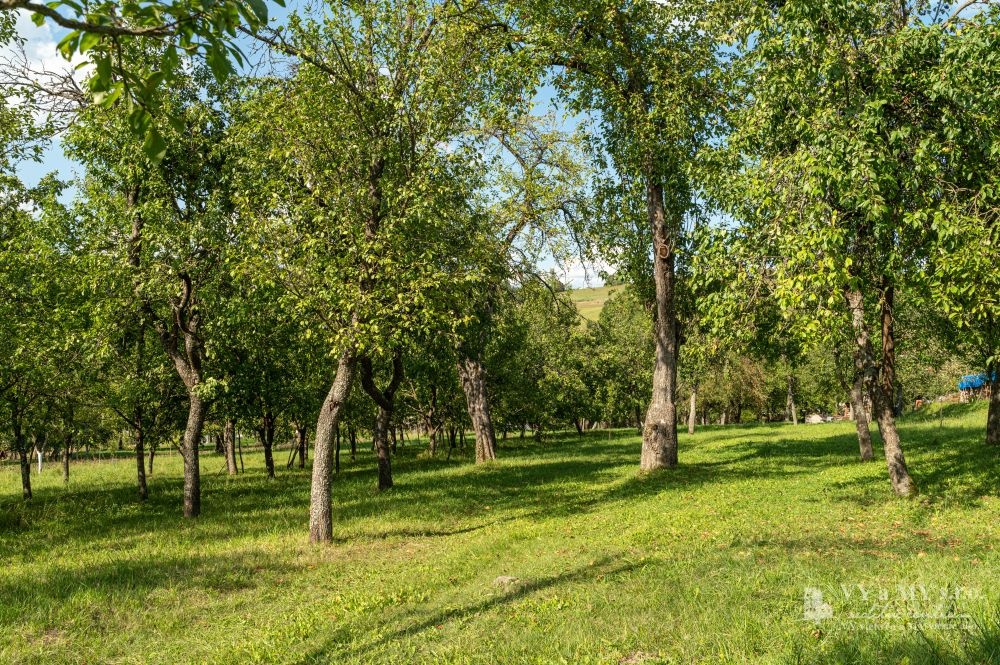 PB2989 stavebný pozemok v mestskej časti Pov. Bystrica