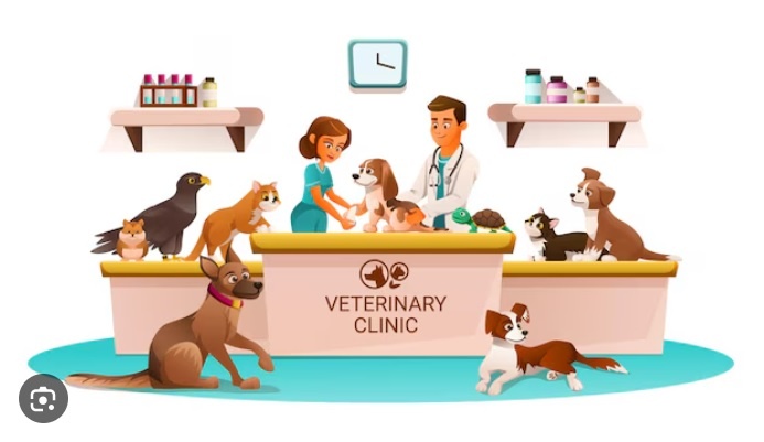 Miesto pre veterinárneho lekára