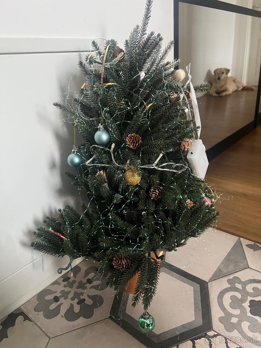 Vianočný stromček