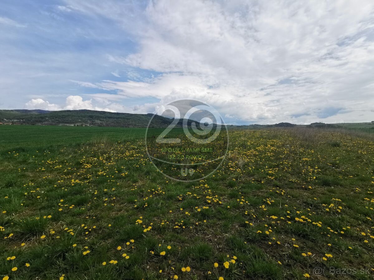 Predaj pozemku v časti Kostolná okres Detva spoločnosťou U9