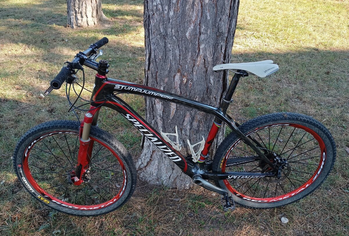 SPECIALIZED stumpjumper expert carbon 26" L
