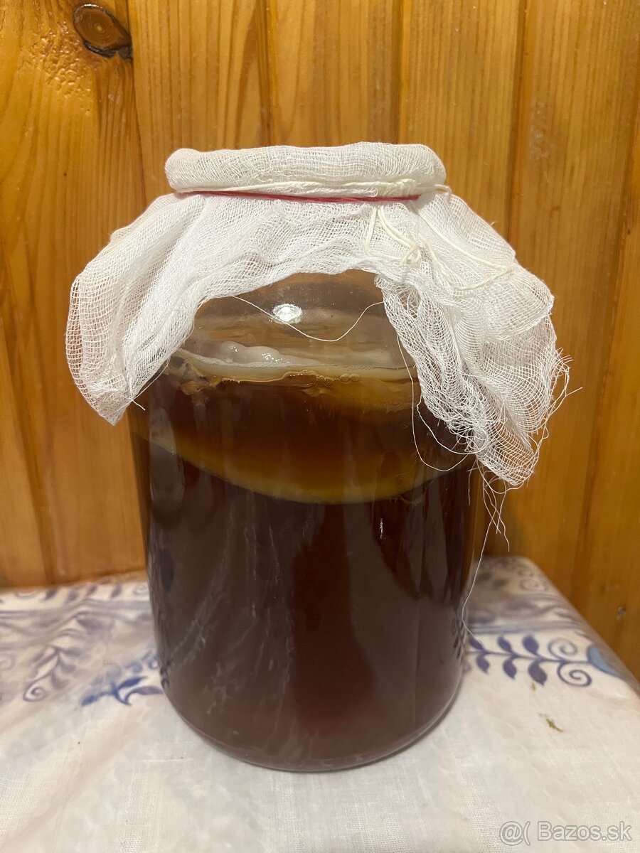 Kombucha