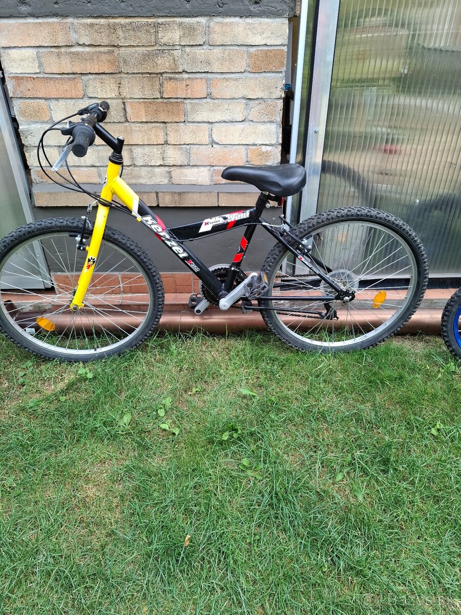 Dievčenský bicykel 25