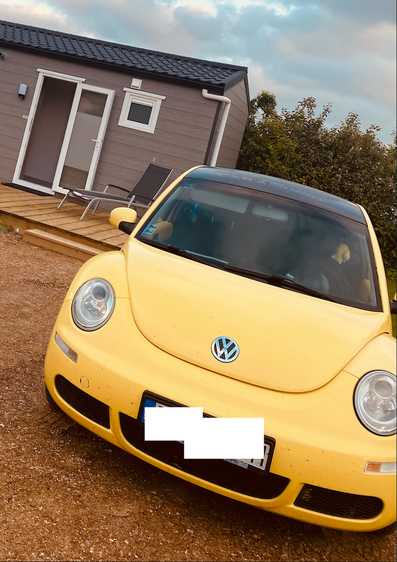 Volkswagen New Beetle