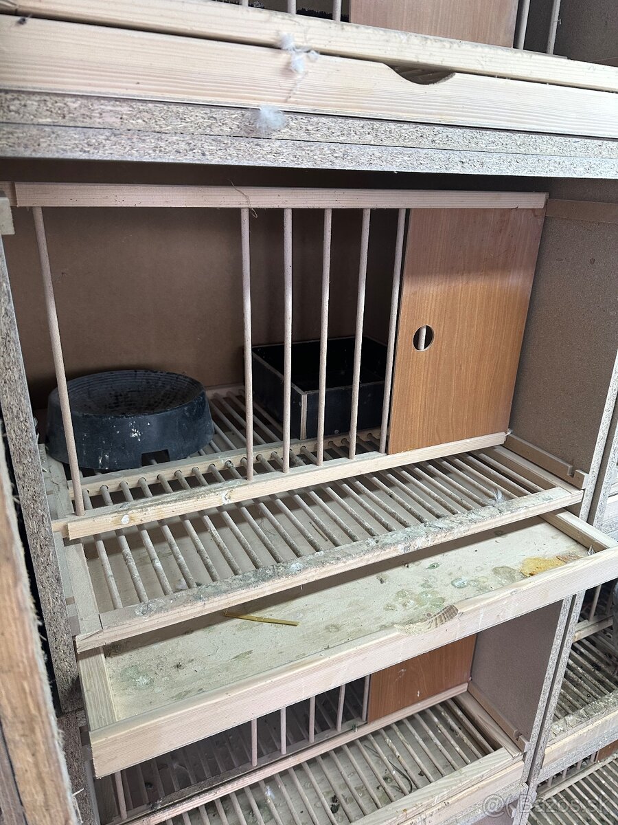 Budnik , budka pre holuba , budniky , budky pre holuby