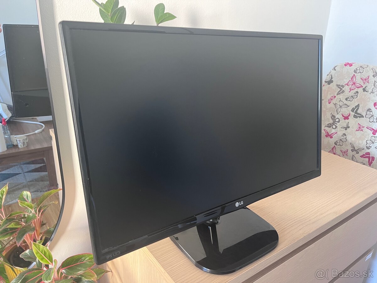 LG 23" Monitor