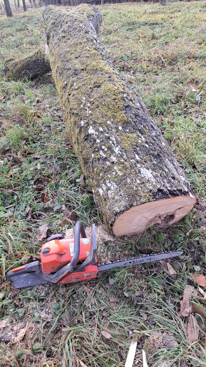 Kmeň hrušky - predám lacno