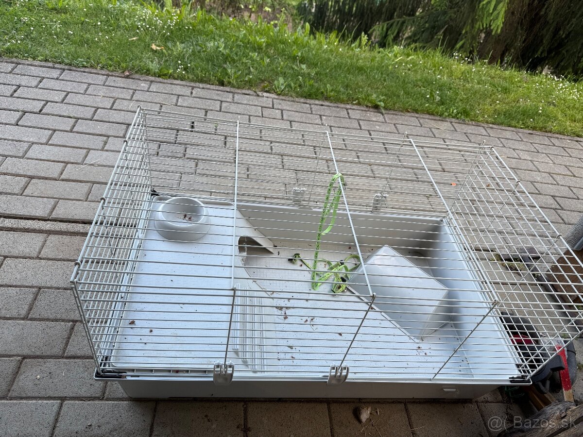 Klientka pre 2 zajace