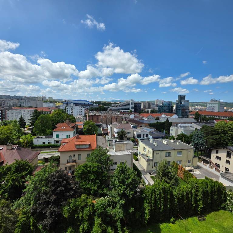1i, OV, 35m2, Juh, Rastislavova, tehla, čiastočne zariadený