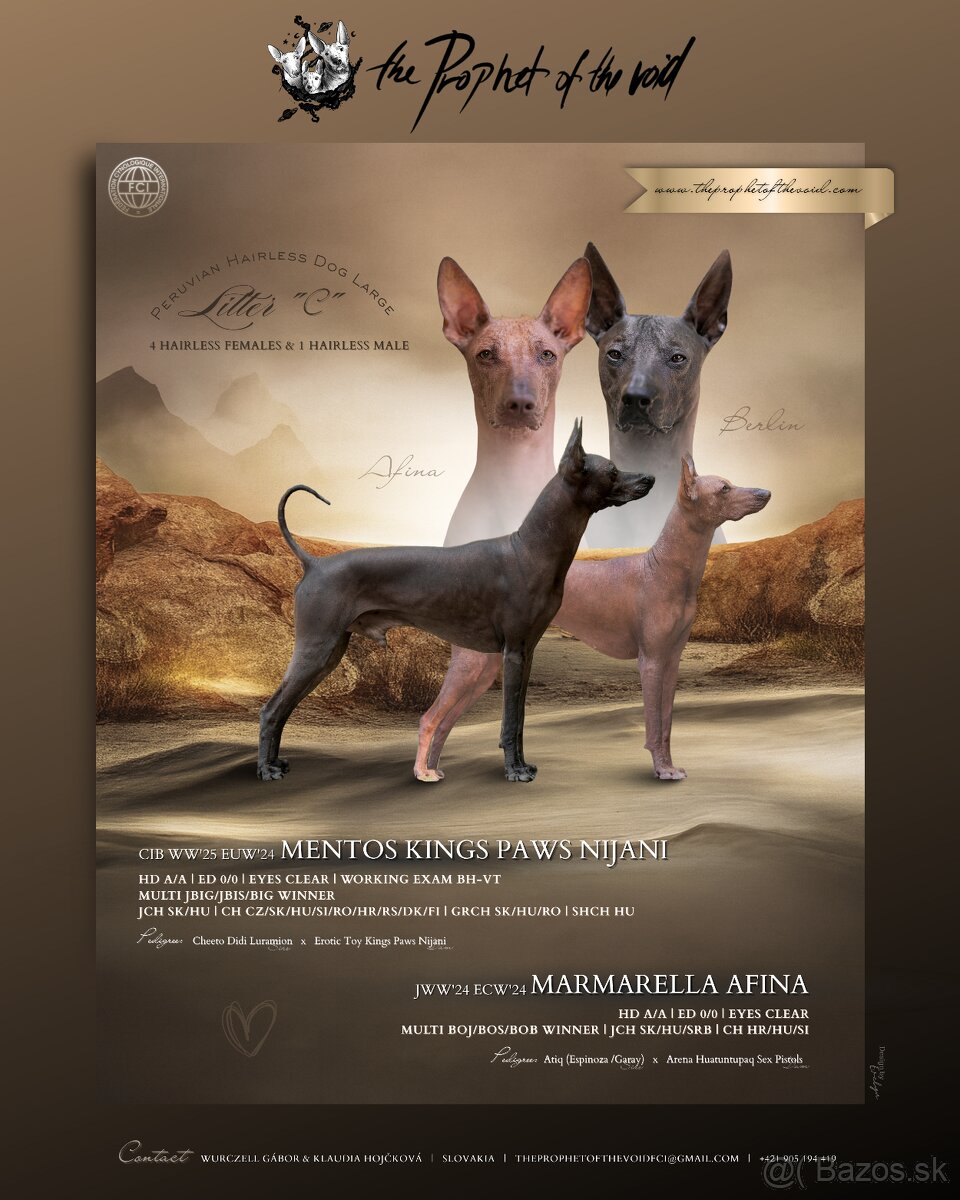 Peruánsky naháč veľký s PP (FCI)