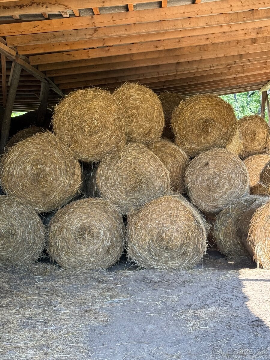 Pšeničná slama z pod strechy