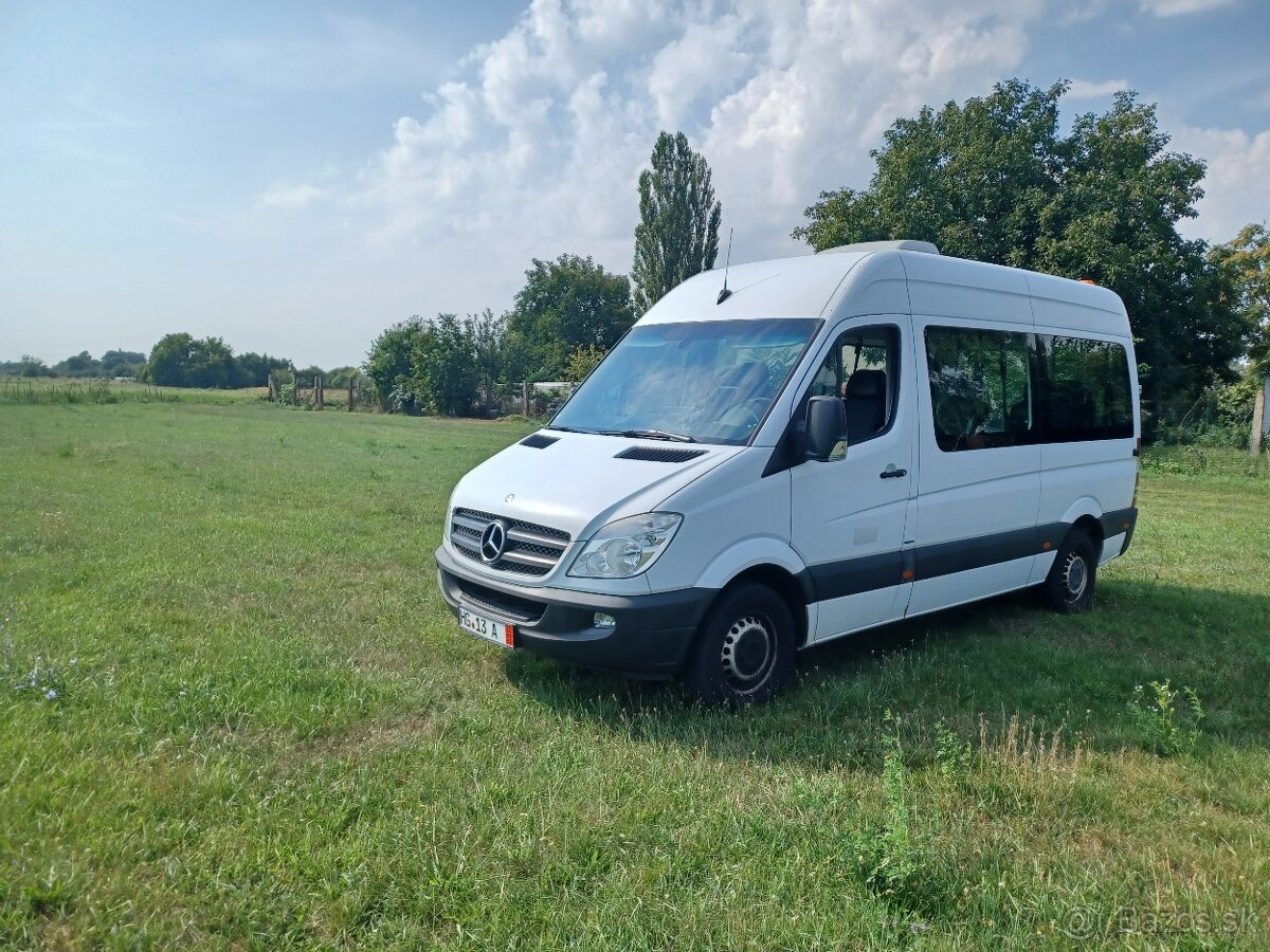 Mercedes sprinter 313