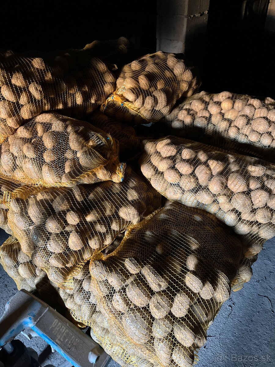 Predám Zemiaky na zimné uskladnenie
