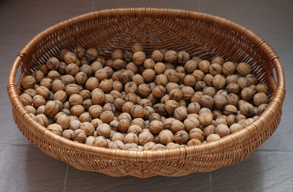 ✳️ Orechy vlašské BIO ✳️