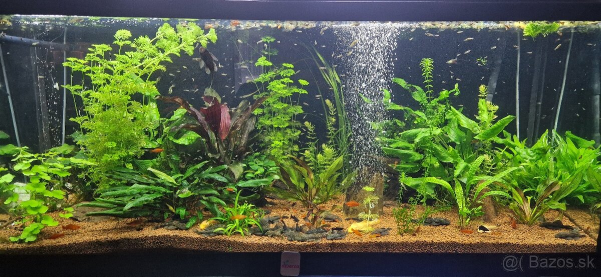 Akvárium 450l