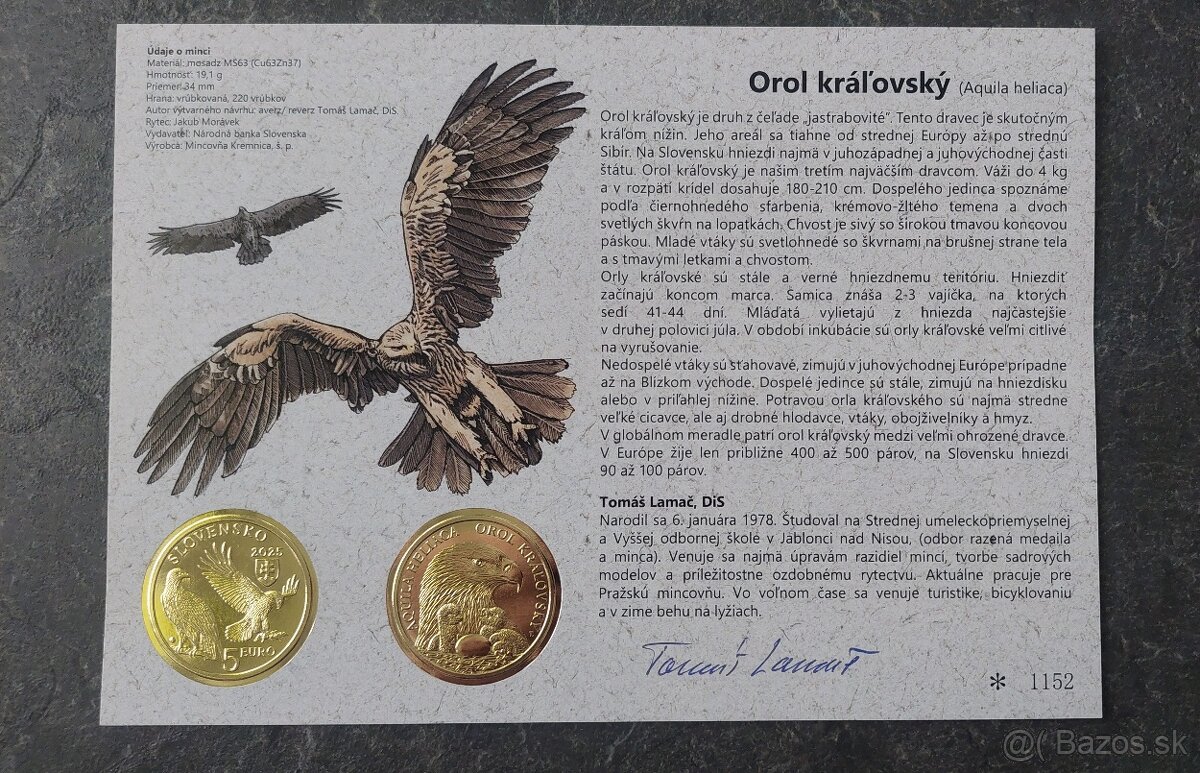 Orol kráľovský