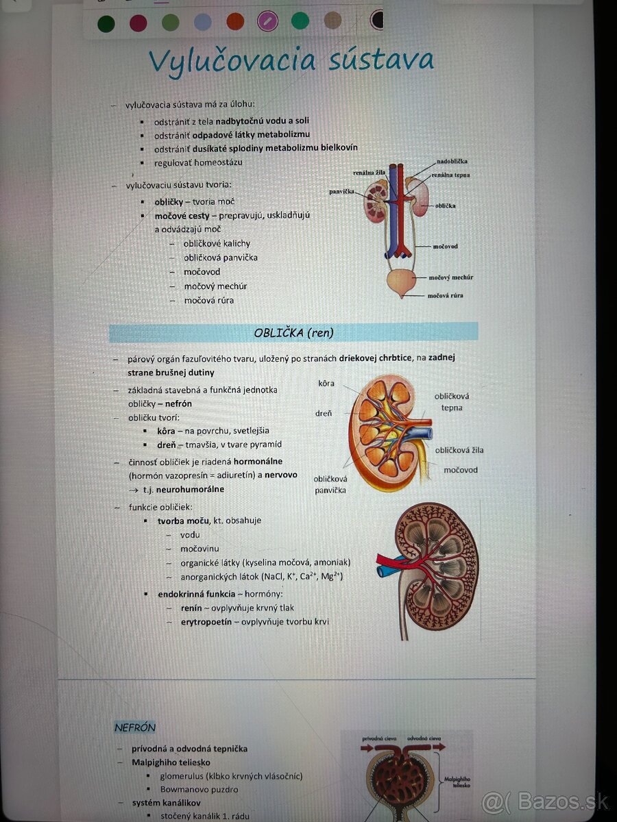 MATERIÁLY NA PRIJÍMAČKY NA MEDICÍNU/PRÍPRAVA NA MATURITU