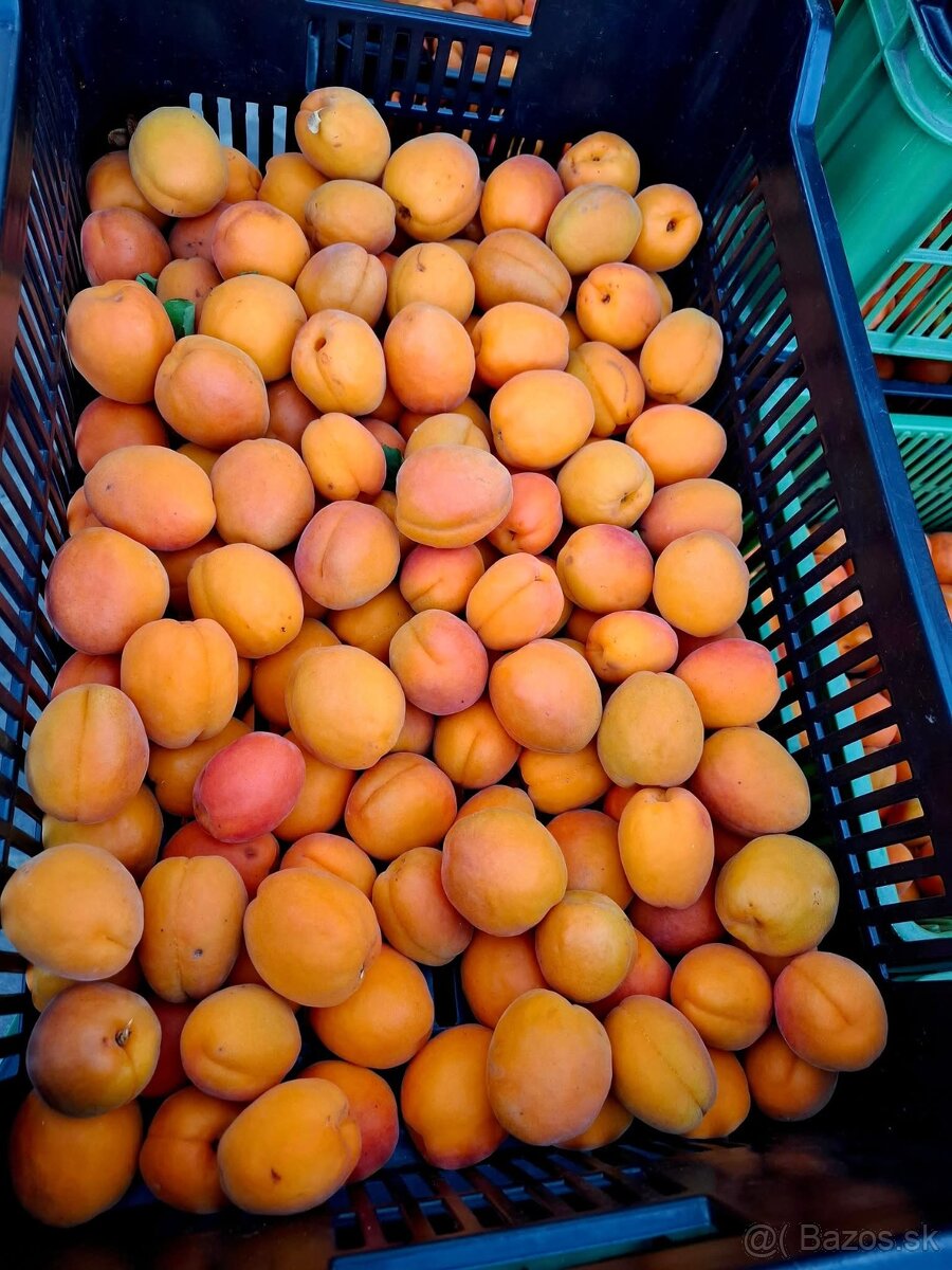 Marhule