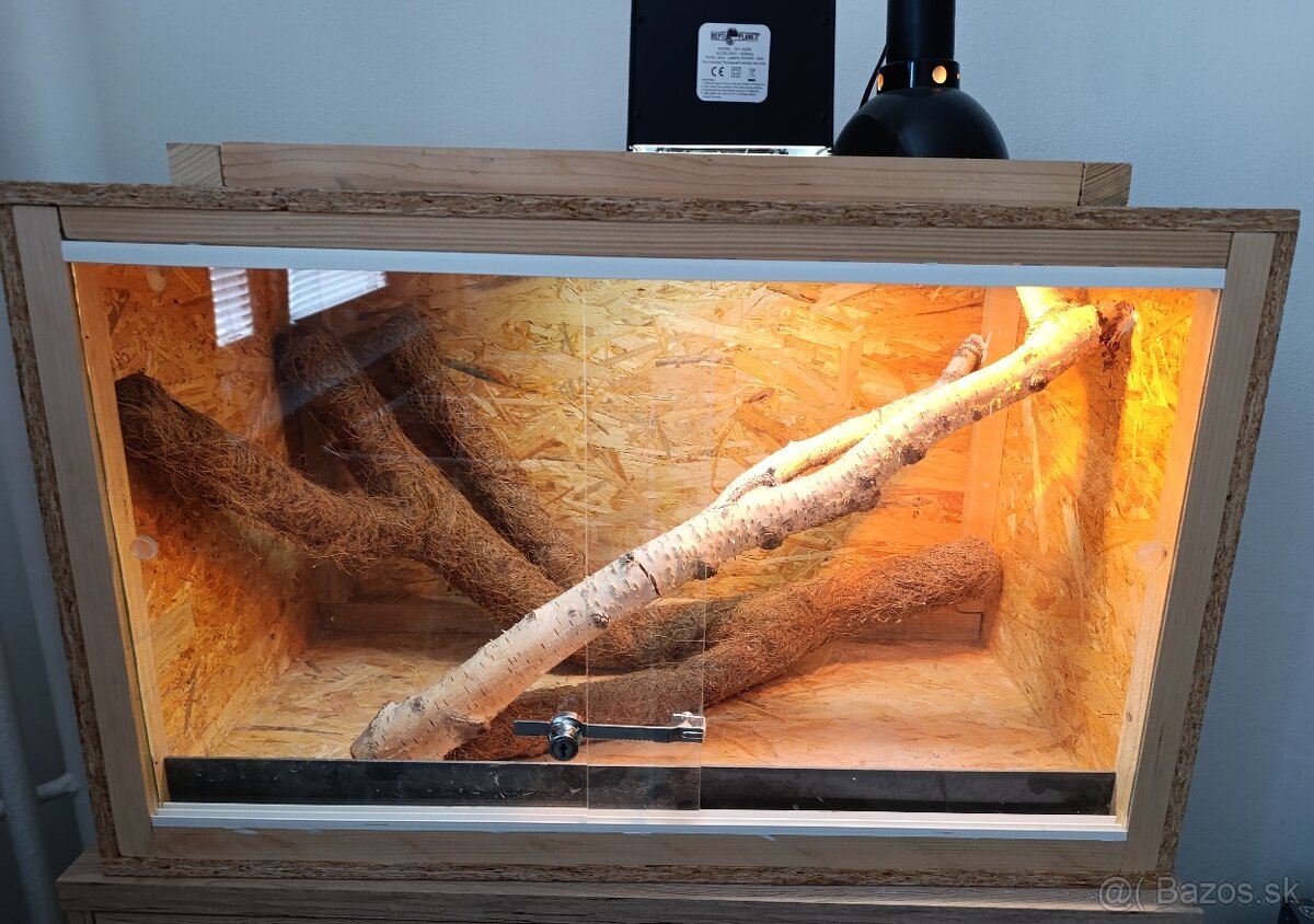 Terarium plus svetlá
