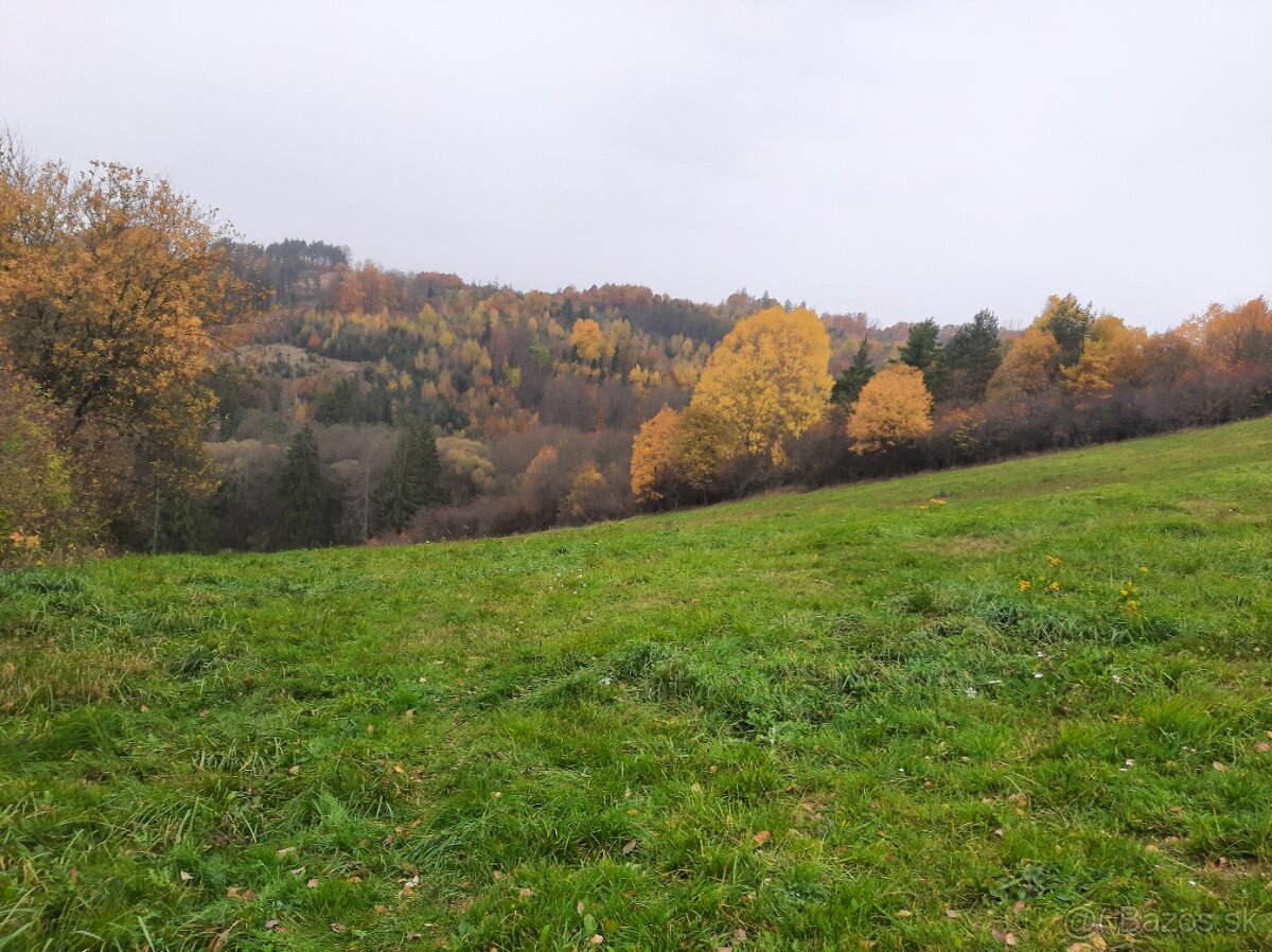 Pozemok pod chatu v Trnovom