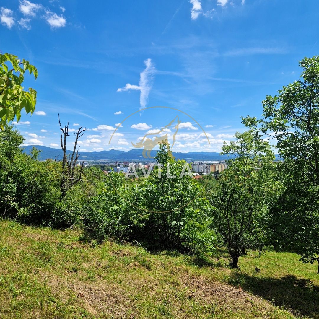 Na predaj rekreačný pozemok 2 920 m², Nové Mesto nad VáhomLo