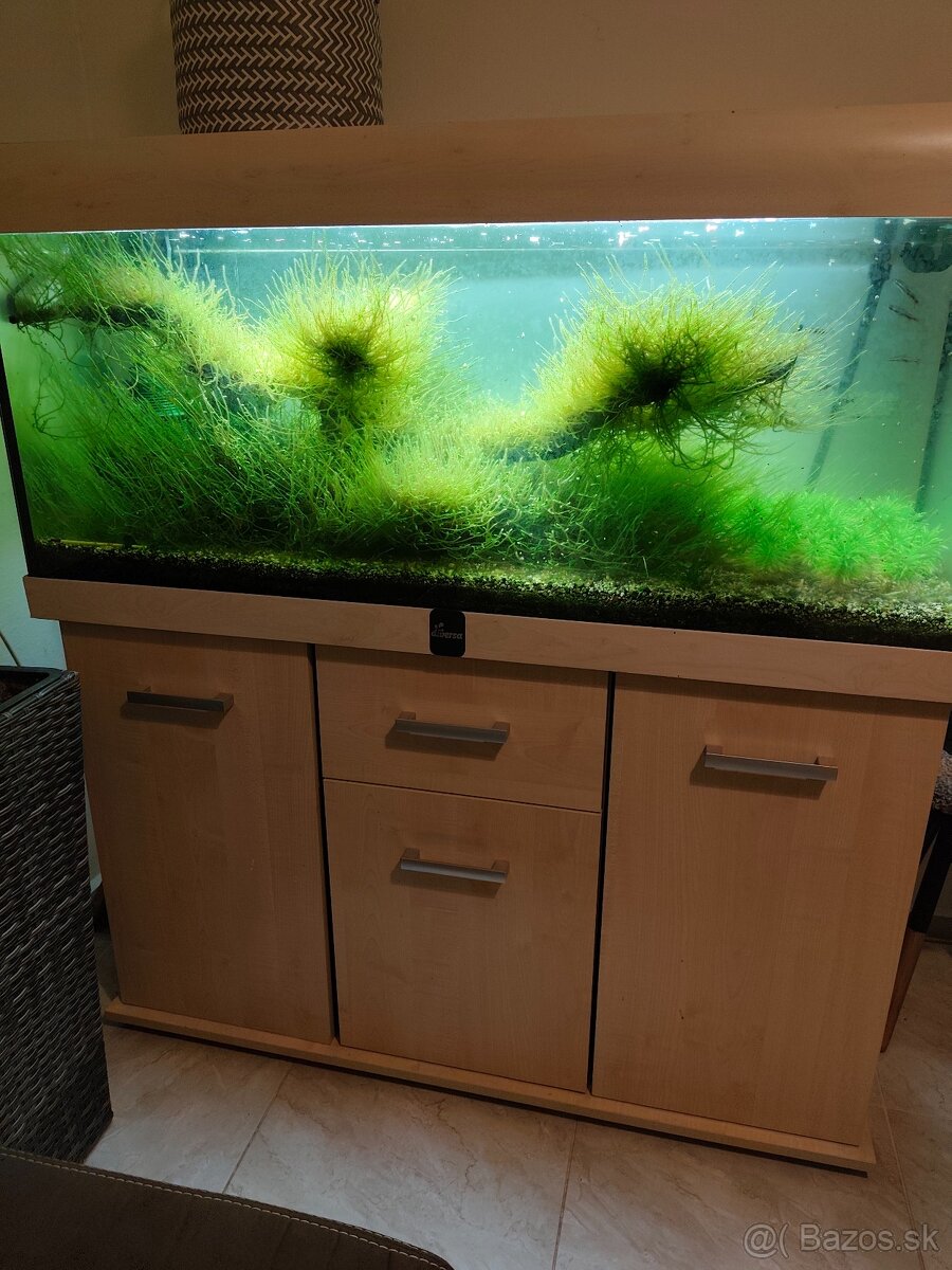 Akvariovy set Diversa