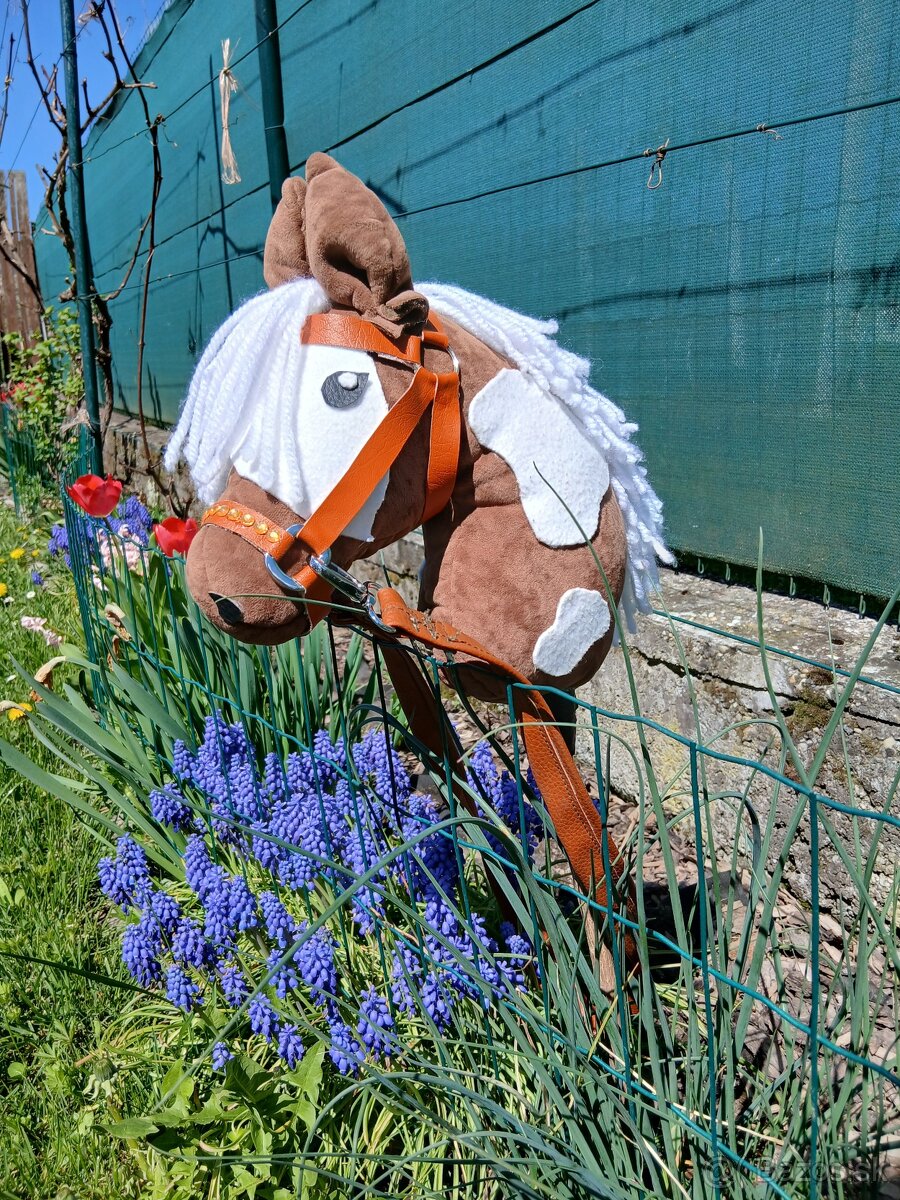 Hobby horse