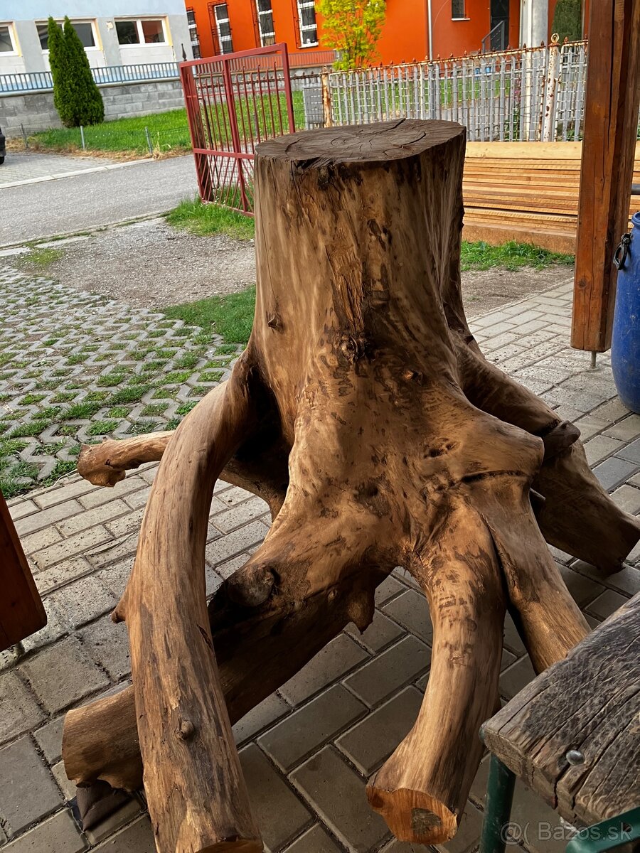Koreň orecha
