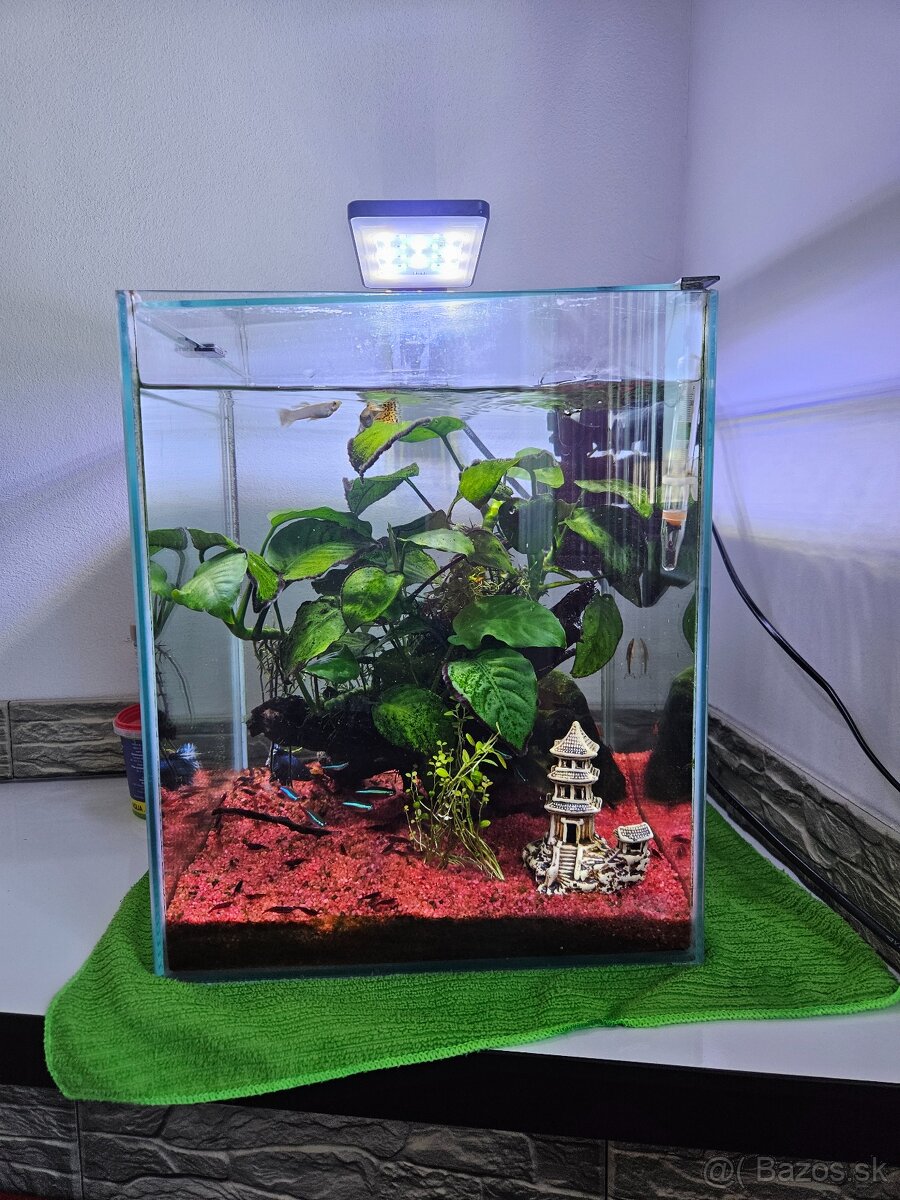 Predam akvarium