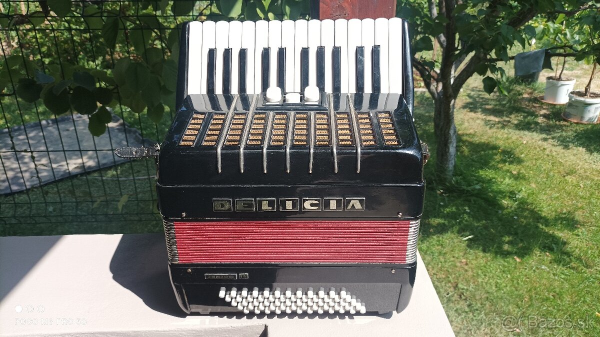Harmonika -Akordeon.Delícia Junior 60 basová.