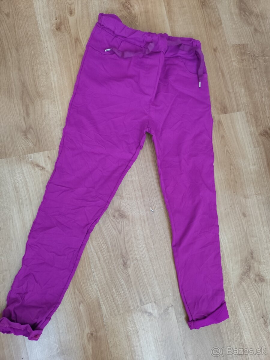 Fialove sampionky univelkost nove
