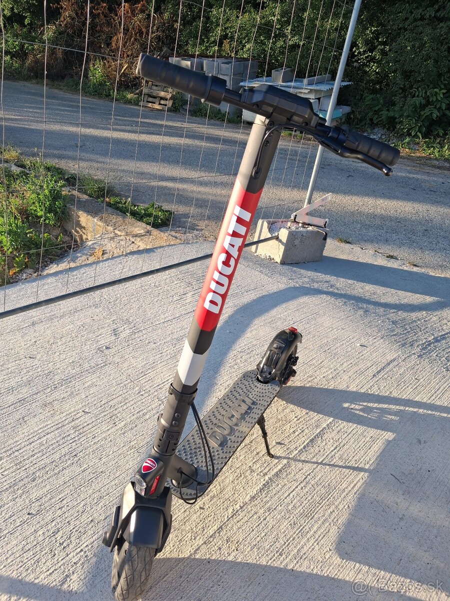 Ducati pro II