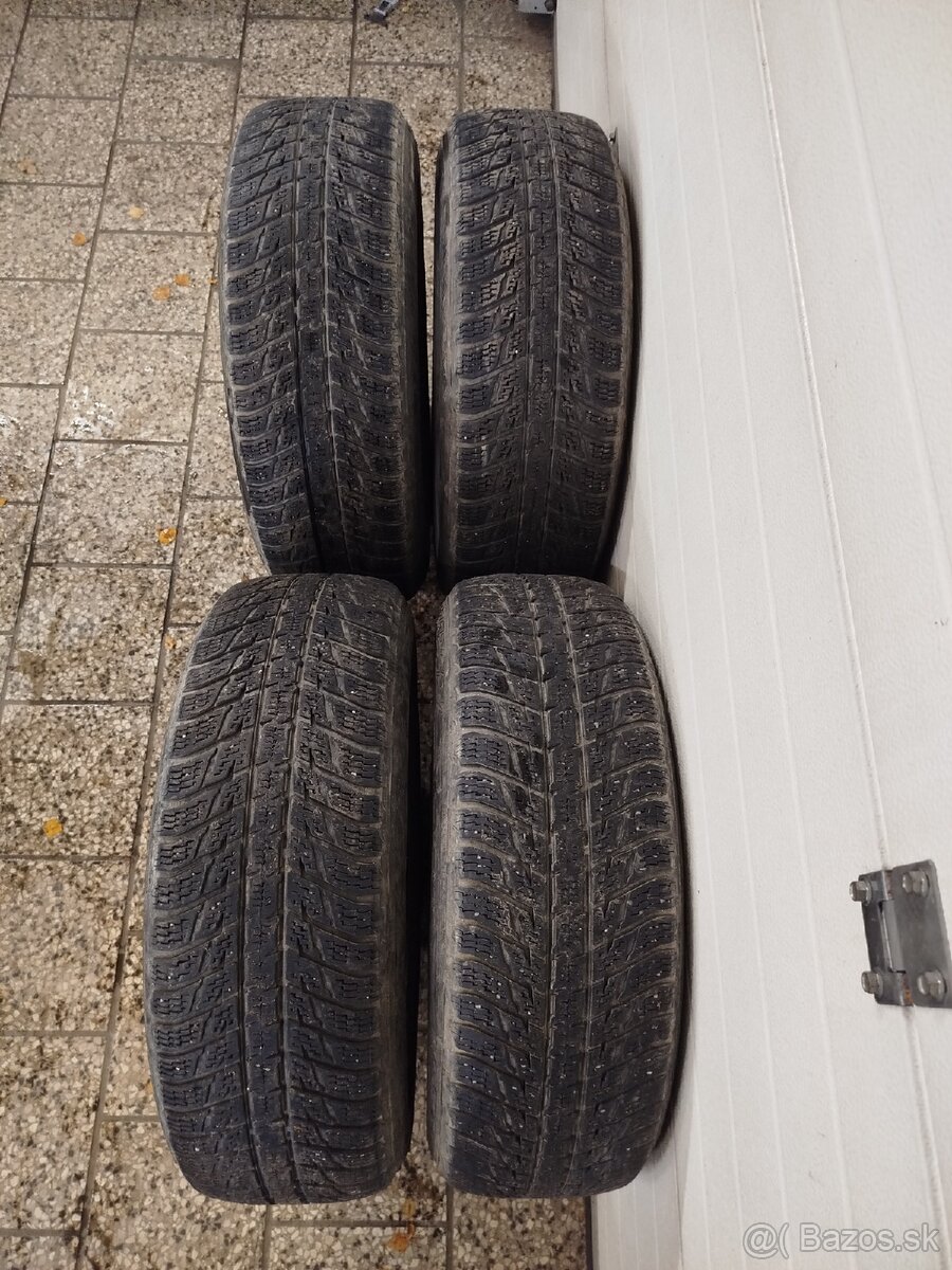 Zimna sada 225/65 R17 106H XL